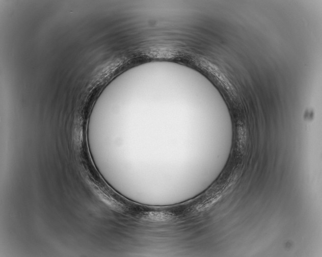 X0000098210541200805081137