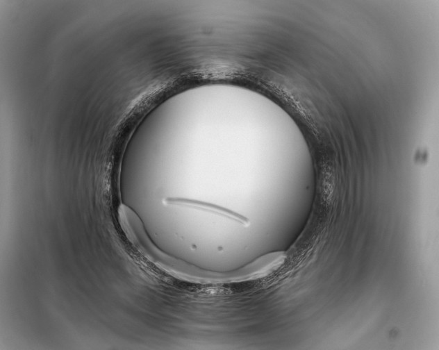 X0000098210543200805081137