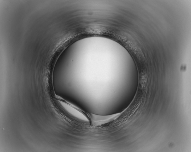 X0000098210544200805081137