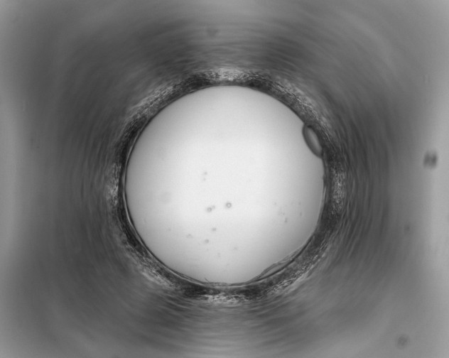 X0000098210545200805081137