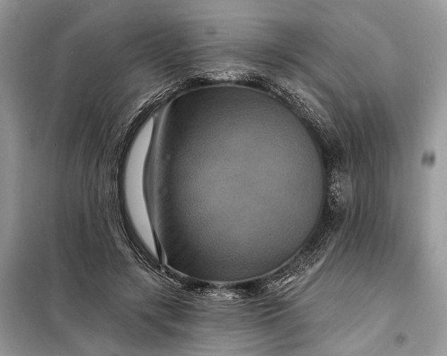 X0000098210547200805081137