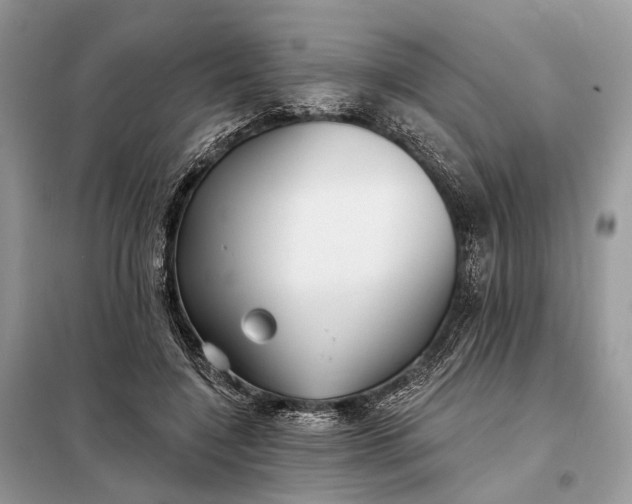 X0000098210548200805081137
