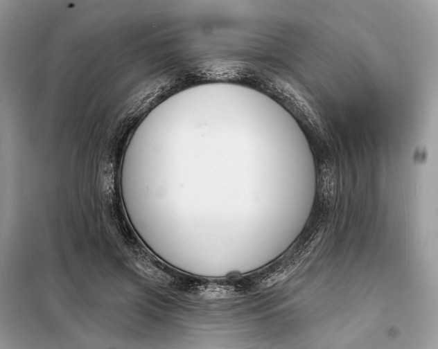X0000098210549200805081137