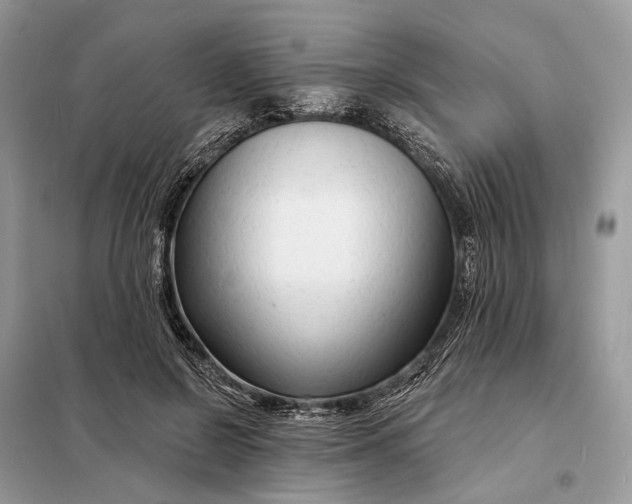 X0000098210550200805081137