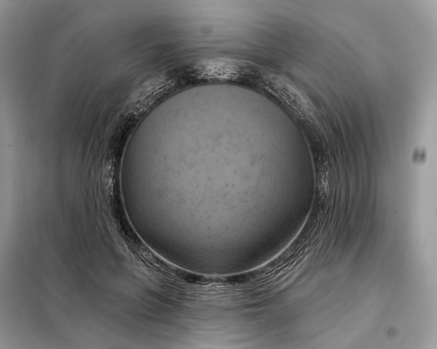 X0000098210551200805081137