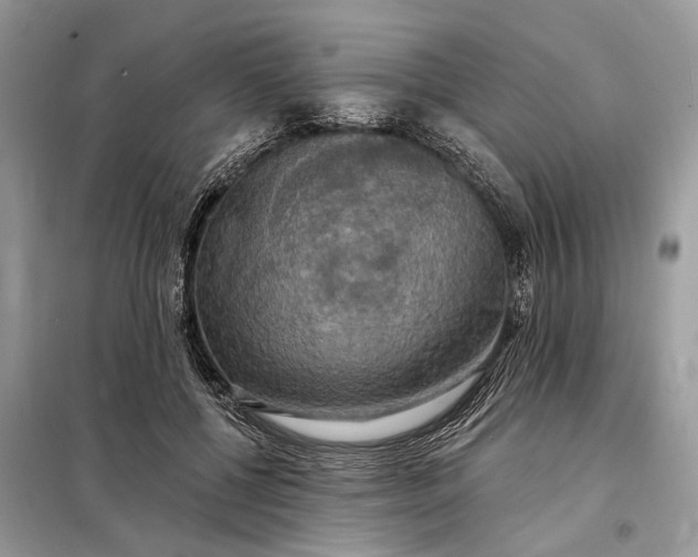 X0000098210552200805081137