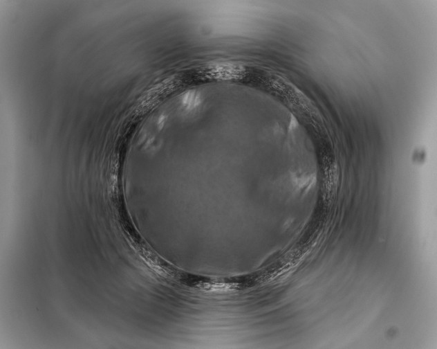 X0000098210553200805081137
