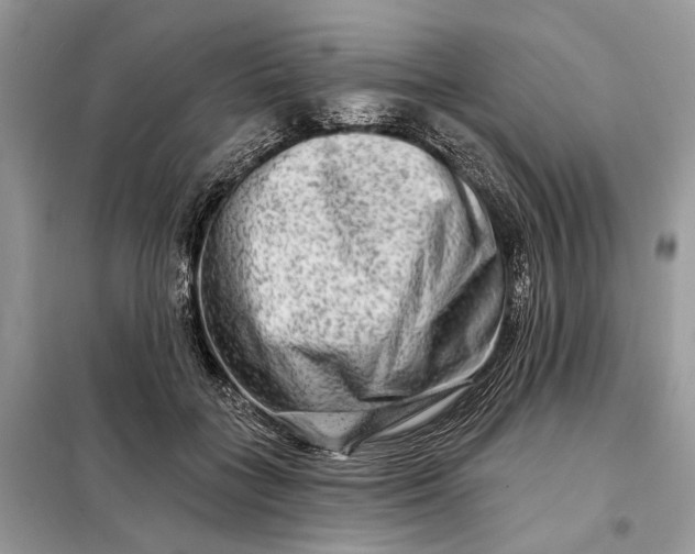 X0000098210555200805081137