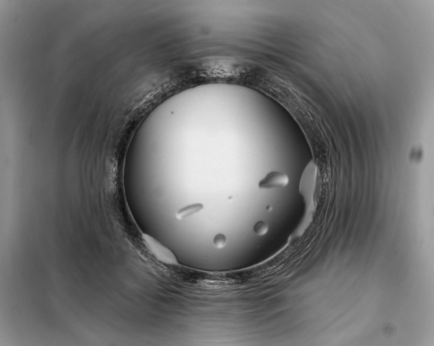 X0000098210556200805081137