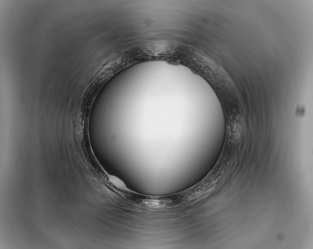 X0000098210558200805081137