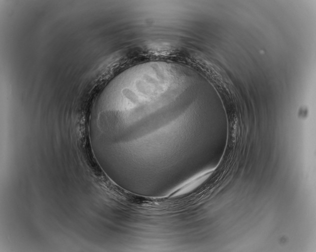 X0000098210559200805081137