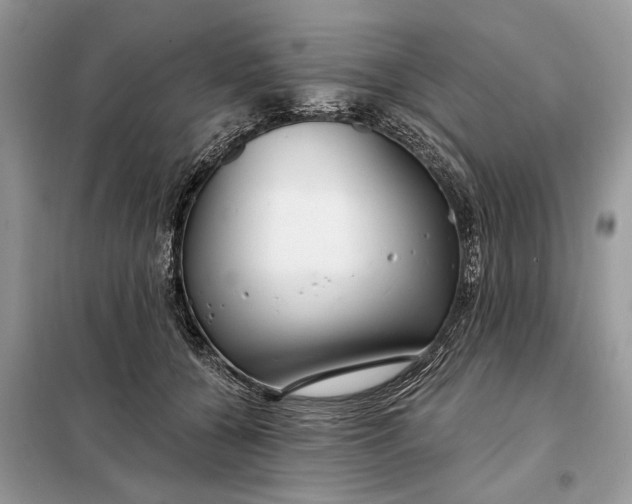 X0000098210560200805081137