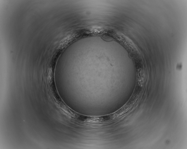 X0000098210563200805081137