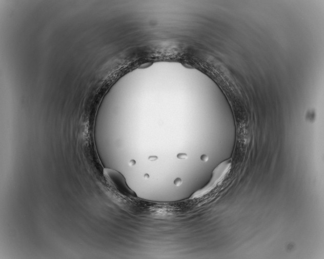 X0000098210564200805081137