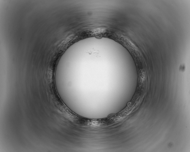 X0000098210565200805081137
