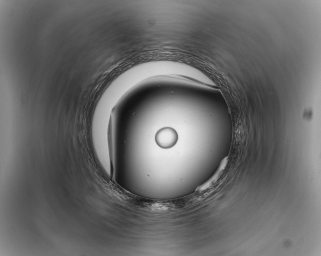 X0000098210566200805081137