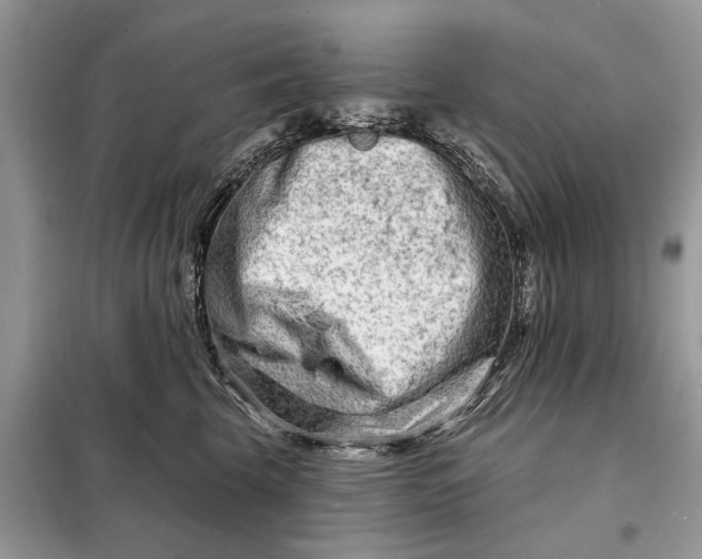 X0000098210569200805081137