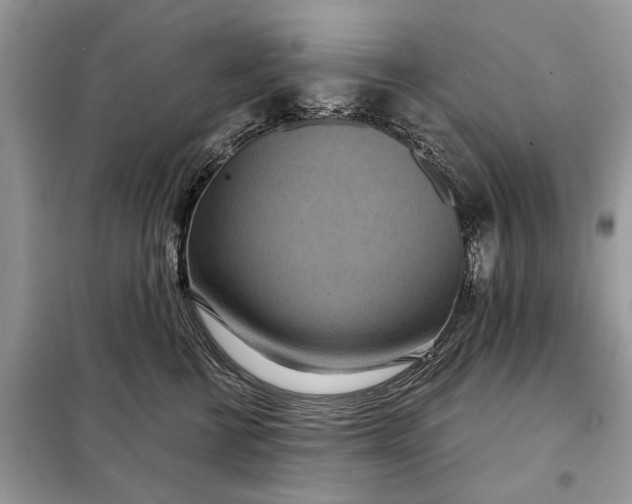 X0000098210570200805081137