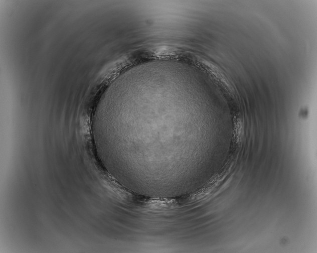 X0000098210571200805081137