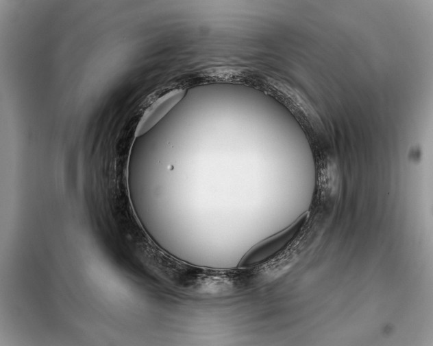 X0000098210572200805081137