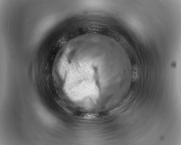 X0000098210573200805081137