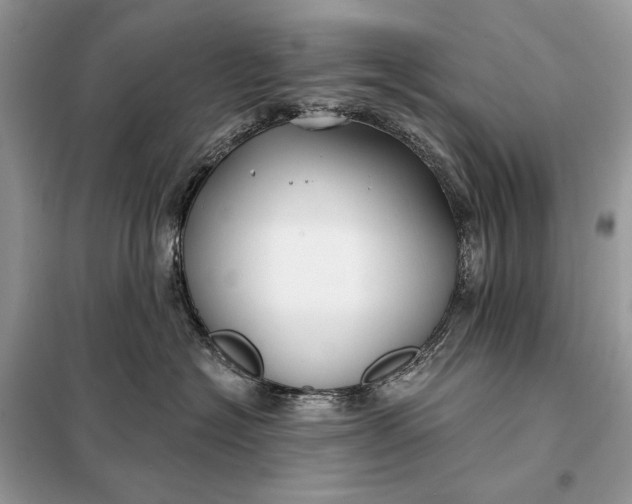 X0000098210574200805081137