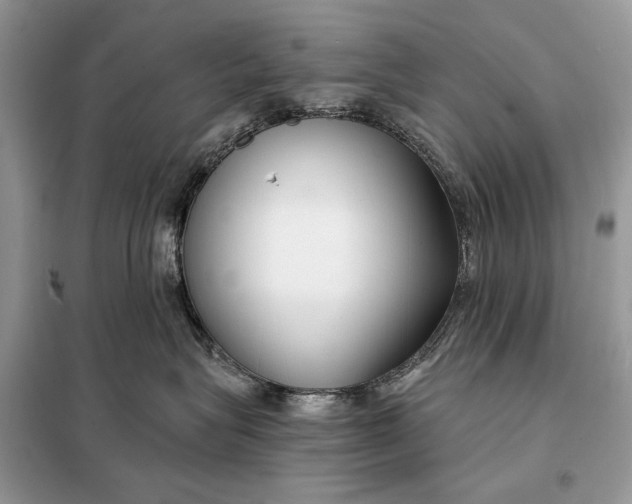 X0000098210575200805081137