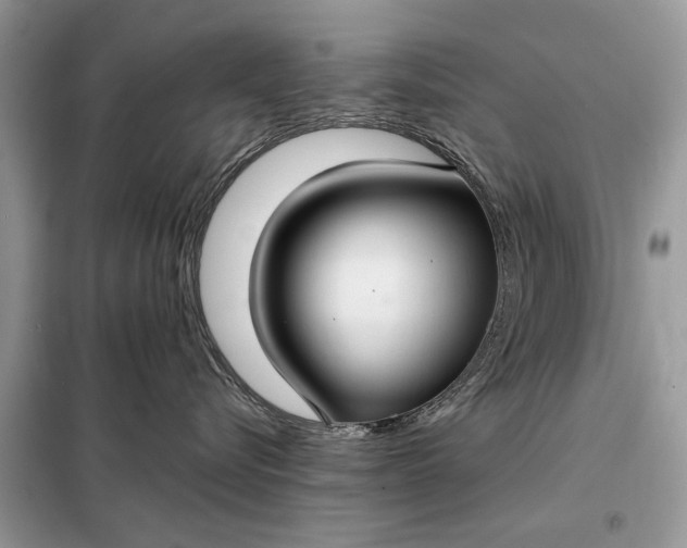 X0000098210576200805081137