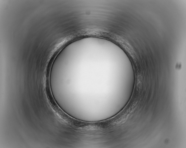 X0000098210578200805081137