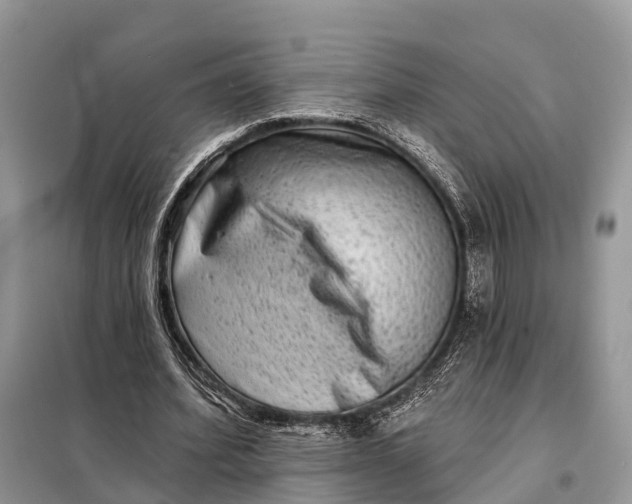 X0000098210580200805081137