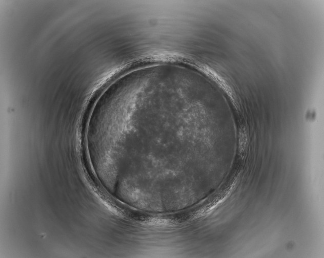 X0000098210581200805081137