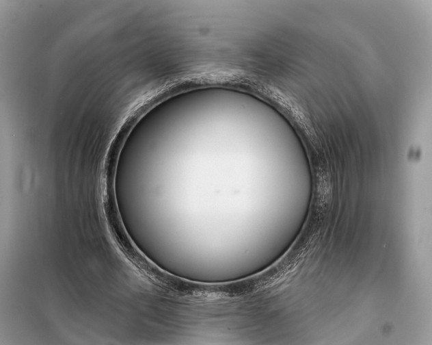 X0000098210582200805081137