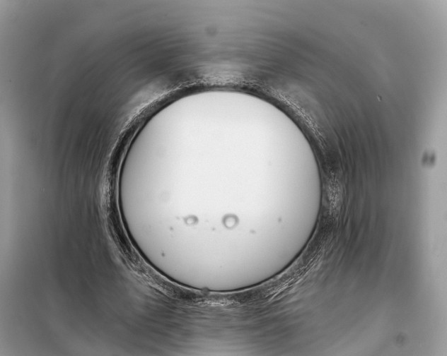 X0000098210583200805081136