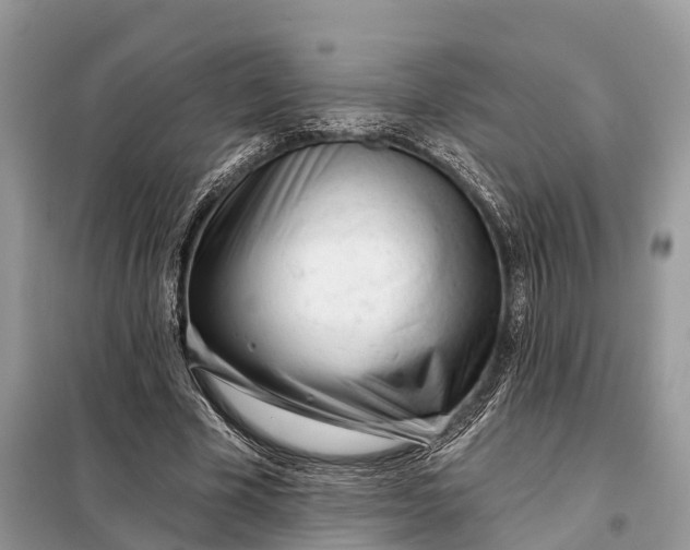 X0000098210585200805081136