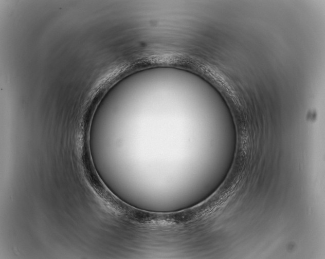 X0000098210586200805081136