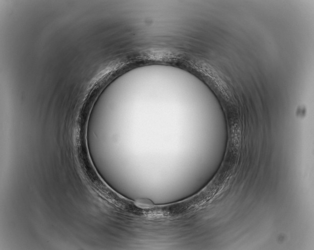 X0000098210587200805081136