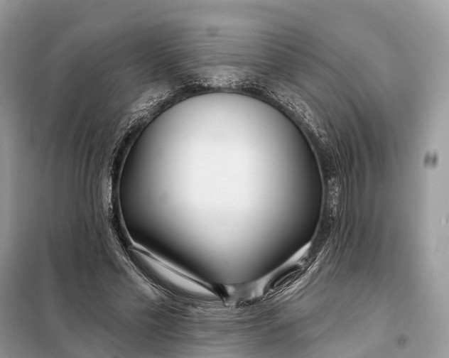 X0000098210589200805081136