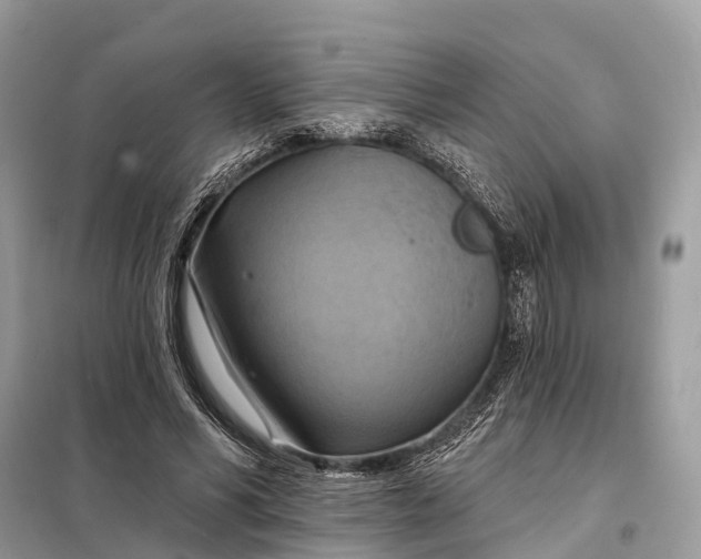 X0000098210590200805081136