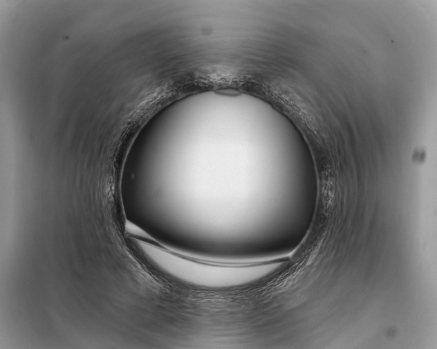 X0000098210593200805081136