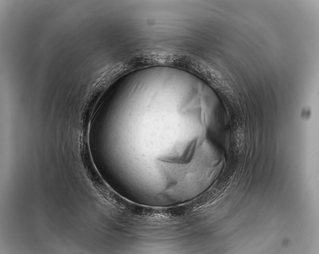 X0000098210594200805081136