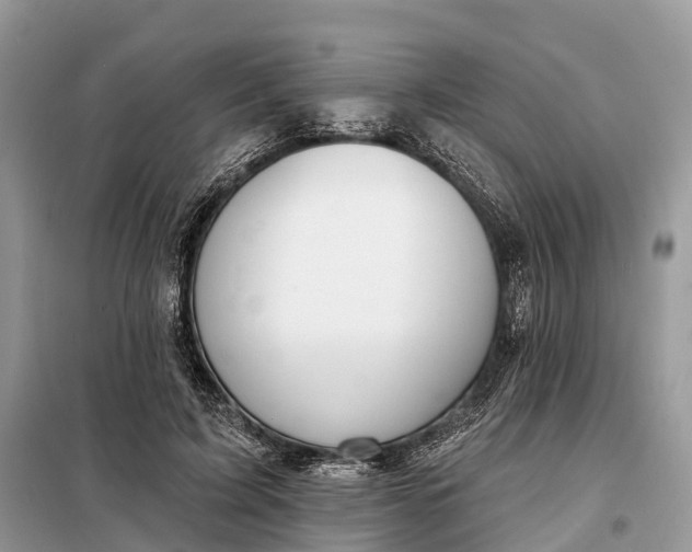 X0000098210595200805081136