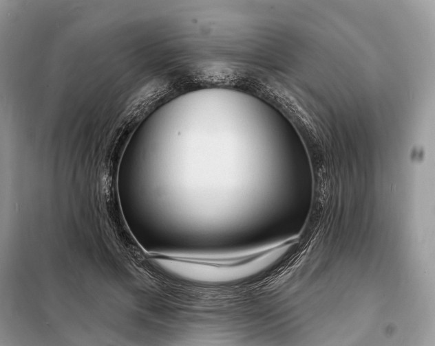 X0000098210597200805081136