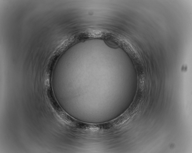 X0000098210598200805081136