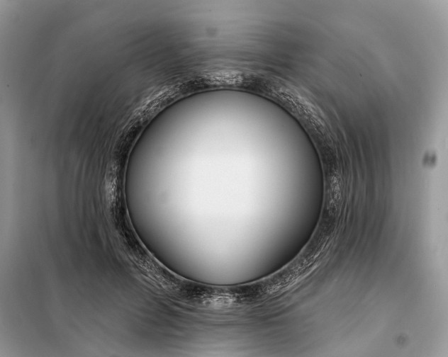X0000098210600200805081136