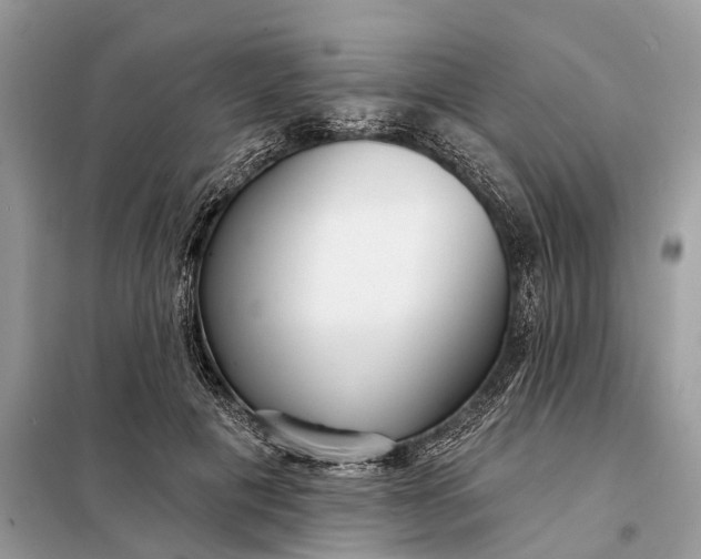 X0000098210601200805081136