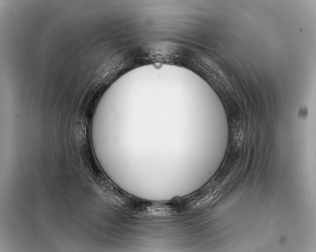 X0000098210603200805081136