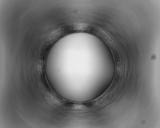X0000098210605200805081136