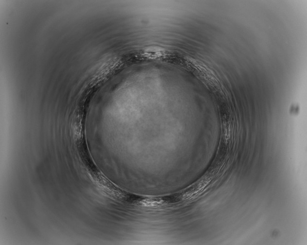 X0000098210606200805081136