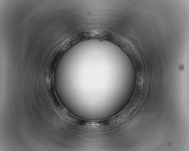X0000098210607200805081136