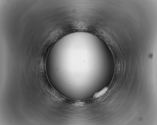 X0000098210609200805081136